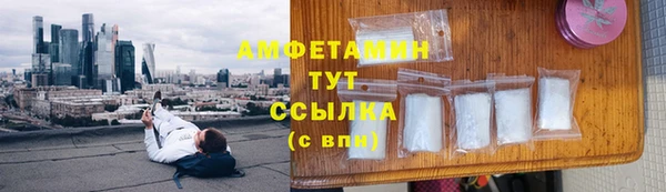 твердый Абаза