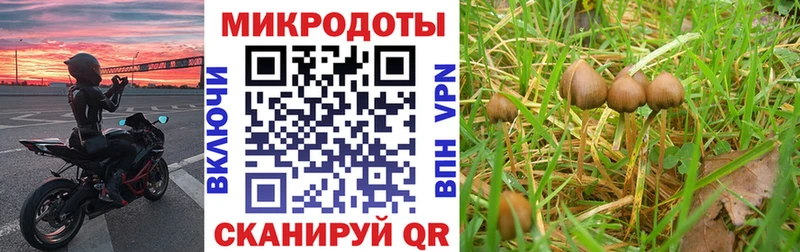наркошоп  Нарьян-Мар  Псилоцибиновые грибы ЛСД 